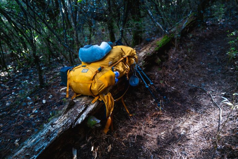 Exploring the Best Sleeping Bags for Cold Weather Camping